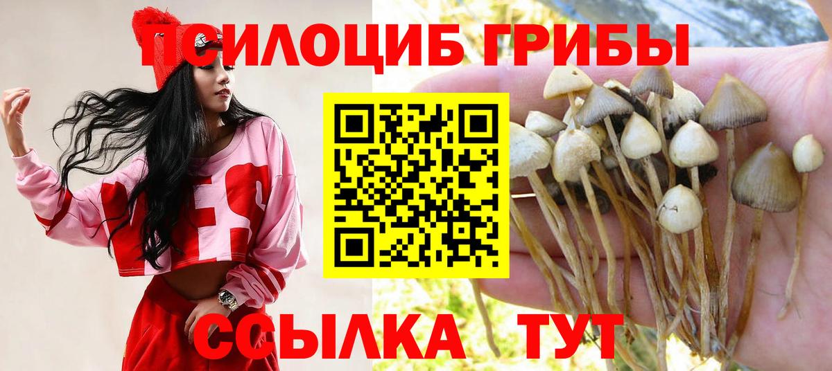 Галлюциногенные грибы Magic Shrooms Кимовск