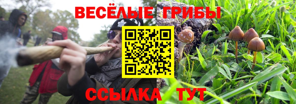 Псилоцибиновые грибы Magic Shrooms  Галлюциногенные грибы Magic Shrooms  Вход с VPN  Кимовск 