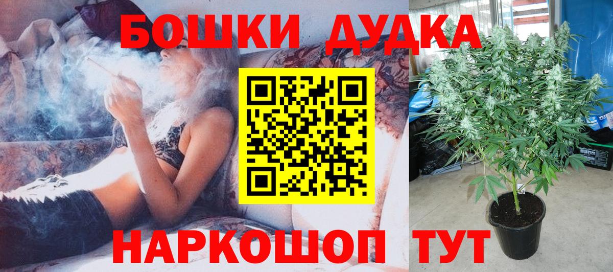 Конопля семена  Каннабис семена  Вход с VPN  Кимовск 